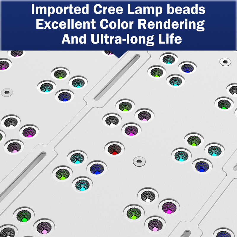 Marine Aquarium & Regional Centre - Hot KASSRAY T169/T215 CREEs LED Full