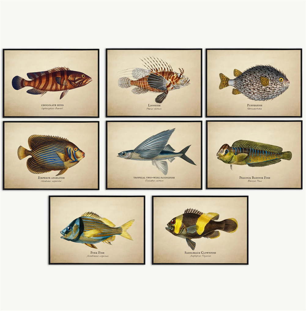Marine Life Aquariums - Vintage Pictures Tropical Fish Jellyfish Shells
