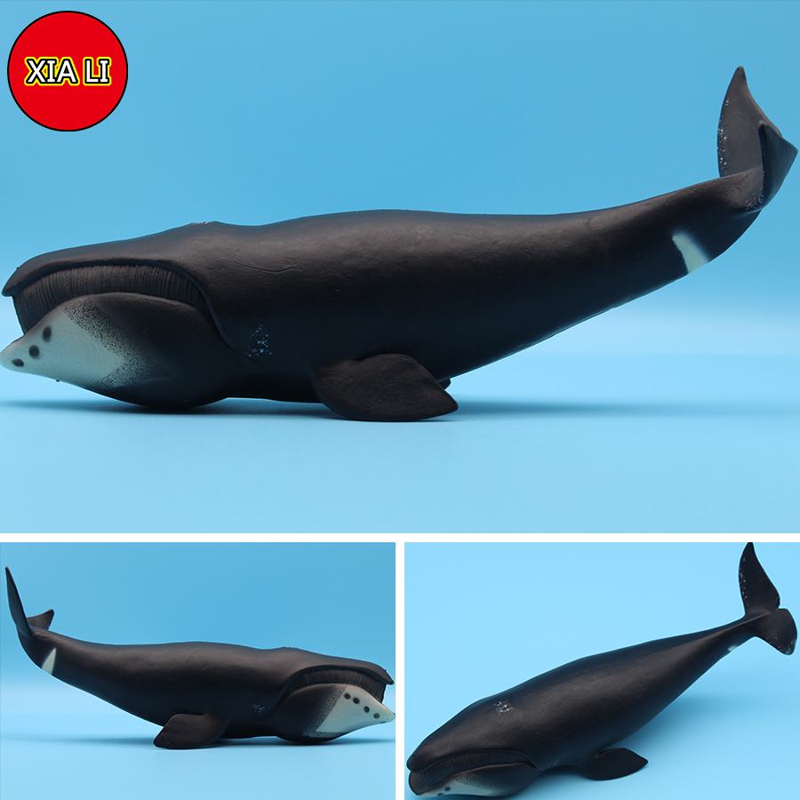 Ocean Sea Life Simulation Kill - Marine Life Aquariums ulasan dan harga