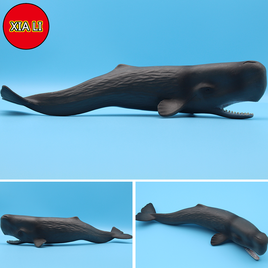 Ocean Sea Life Simulation Kill - Marine Life Aquariums ulasan dan harga