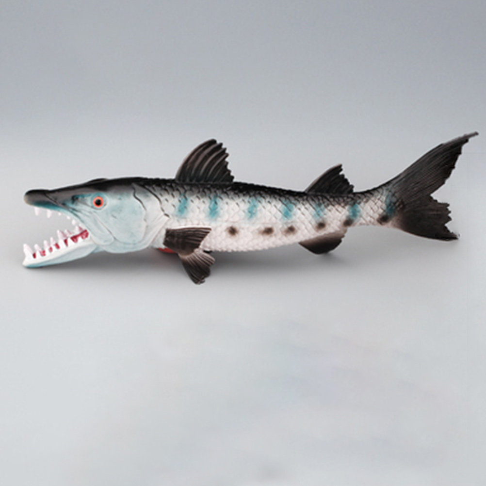 Premium Realistic Wolf-Fish Aq - Marine Aquarium & Regional Centre ulasan dan harga