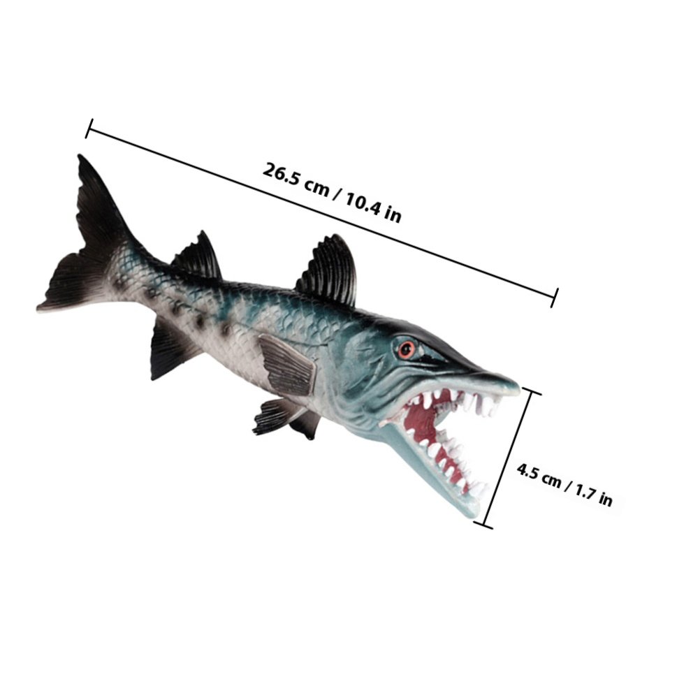 Premium Realistic Wolf-Fish Aq - Marine Aquarium & Regional Centre ulasan dan harga