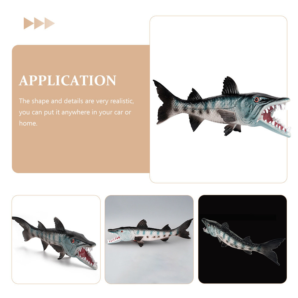 Premium Realistic Wolf-Fish Aq - Marine Aquarium & Regional Centre ulasan dan harga