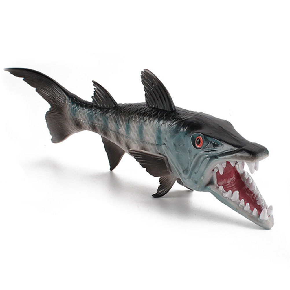 Premium Realistic Wolf-Fish Aq - Marine Aquarium & Regional Centre ulasan dan harga