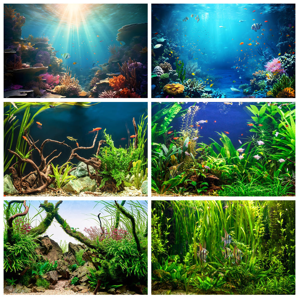 Under Sea Seabed World Photogr - Aquarium Marine World ulasan dan harga