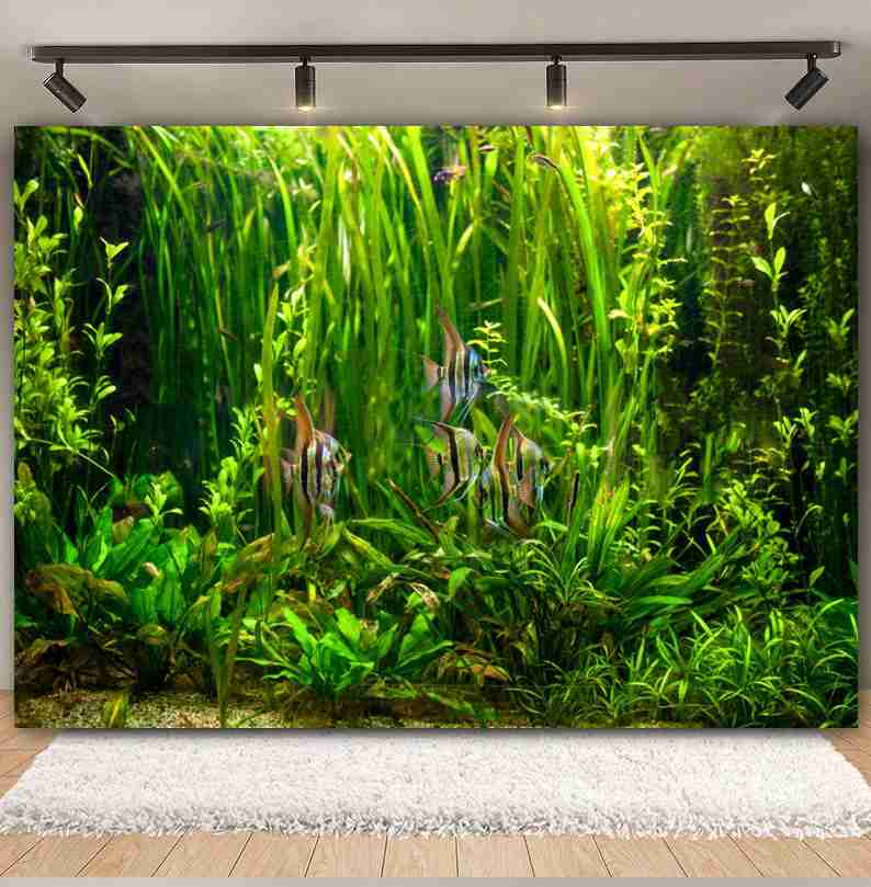 Under Sea Seabed World Photogr - Aquarium Marine World ulasan dan harga
