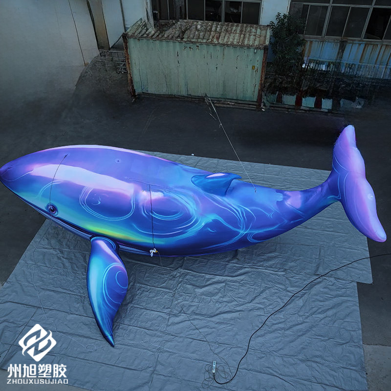 Inflatable blue whale, used as - Marine Life Aquariums ulasan dan harga