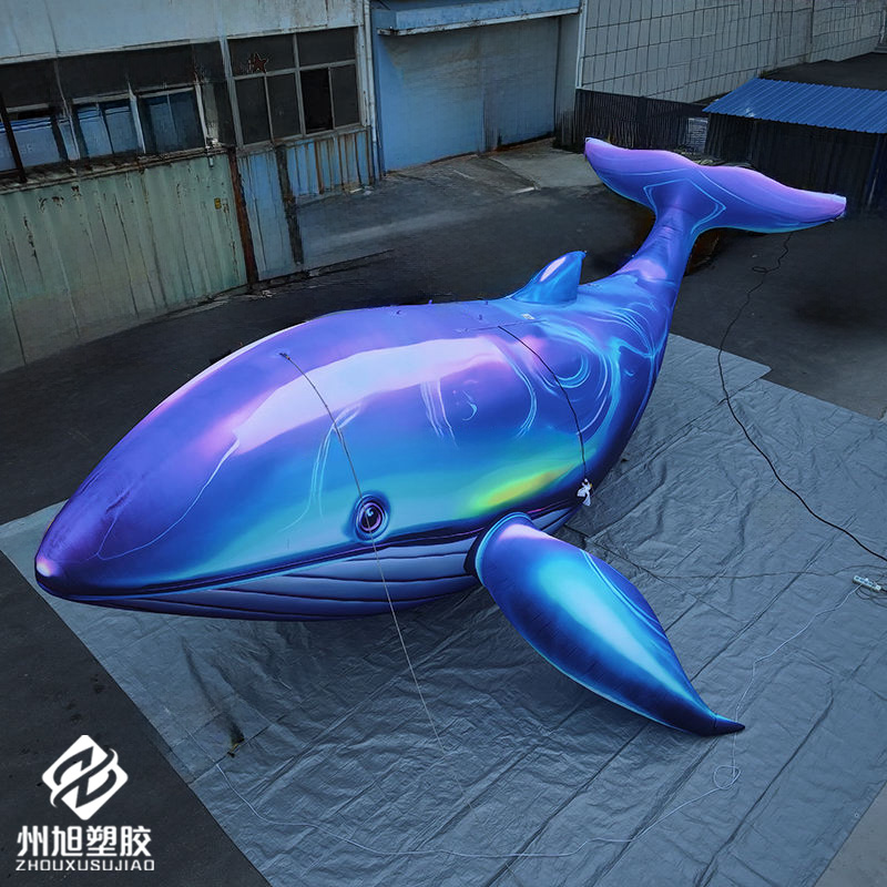 Inflatable blue whale, used as - Marine Life Aquariums ulasan dan harga