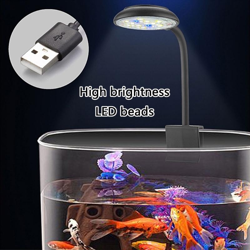 Adjusting Brightness LED Aquar - Marine Life Aquariums ulasan dan harga