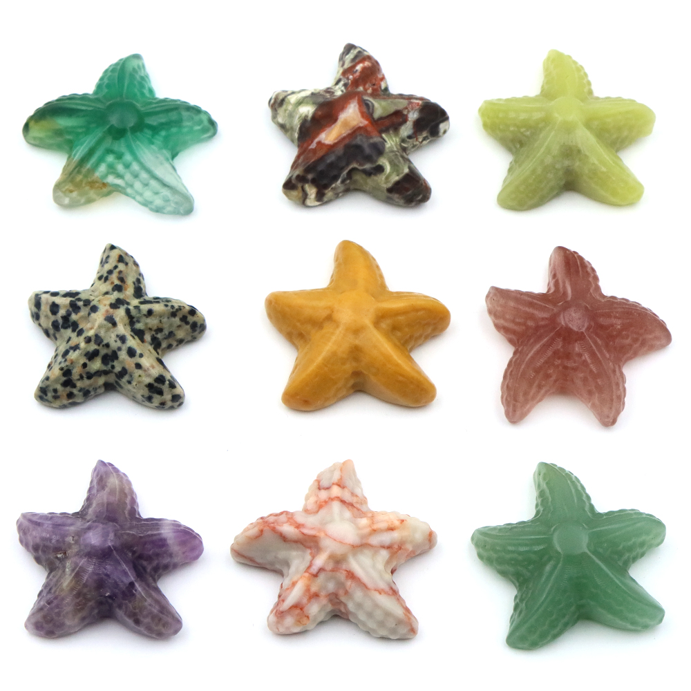 35mm Starfish Shape Statue Mar - Marine Aquarium & Regional Centre ulasan dan harga