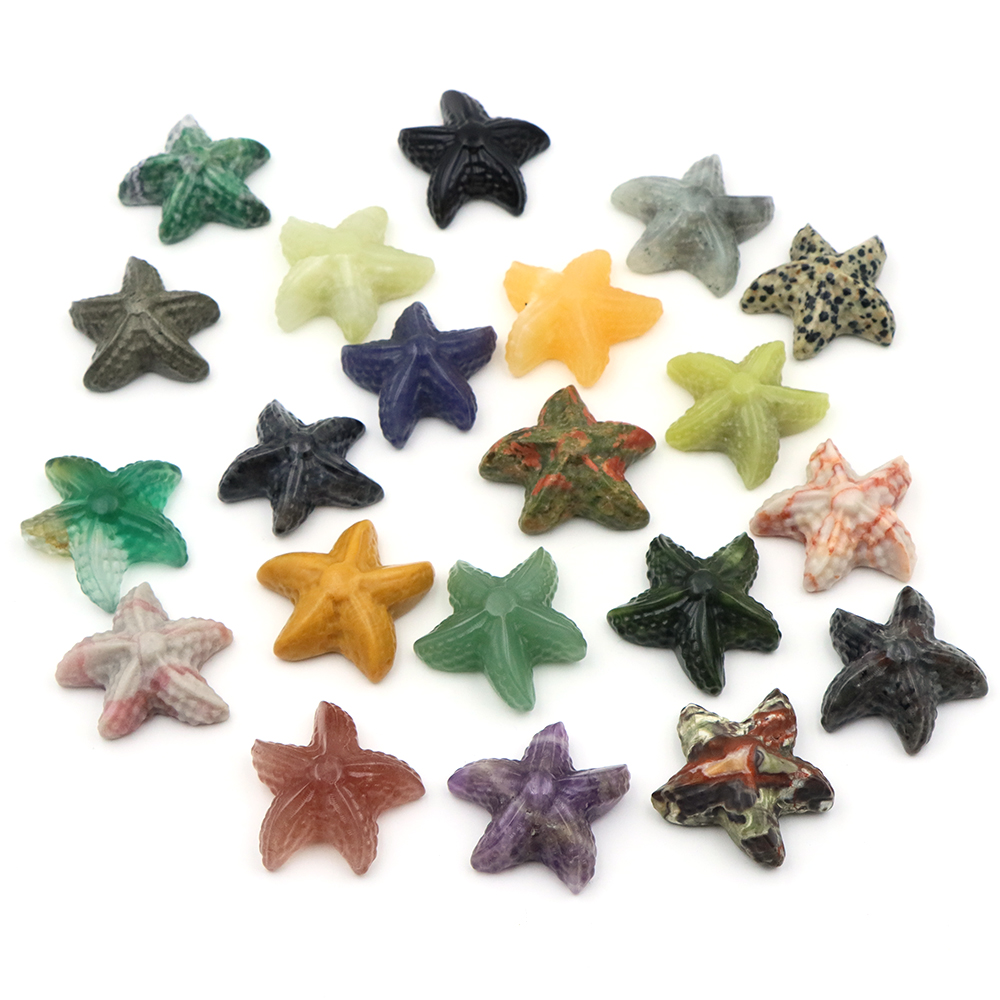 35mm Starfish Shape Statue Mar - Marine Aquarium & Regional Centre ulasan dan harga