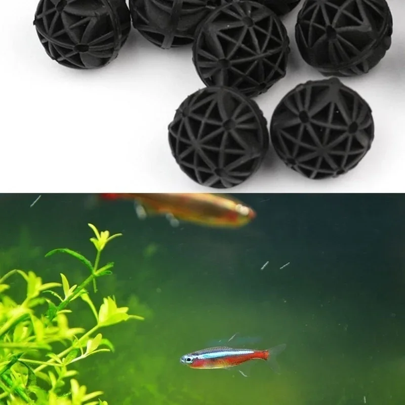 20Pcs 16mm Aquarium Filter Bio - Marine Aquarium & Regional Centre ulasan dan harga