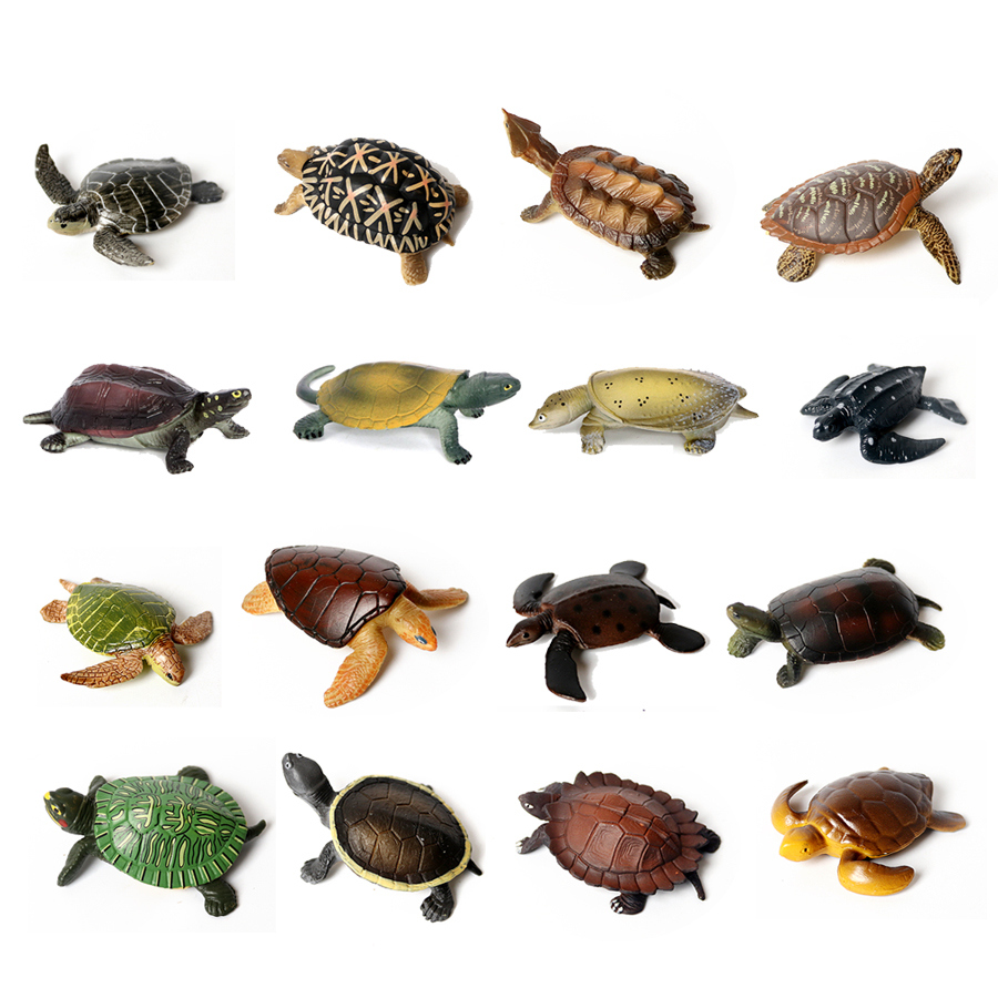 Realistic Miniatures Marine Li - Marine Aquarium & Regional Centre ulasan dan harga