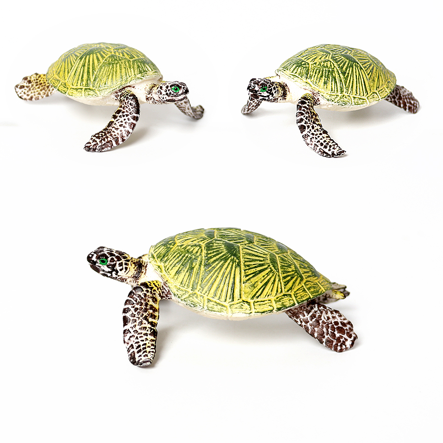 Realistic Miniatures Marine Li - Marine Aquarium & Regional Centre ulasan dan harga